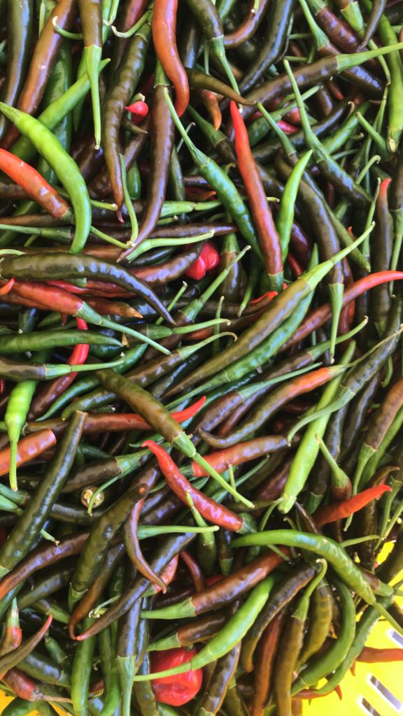 Green Spicies for making sauces